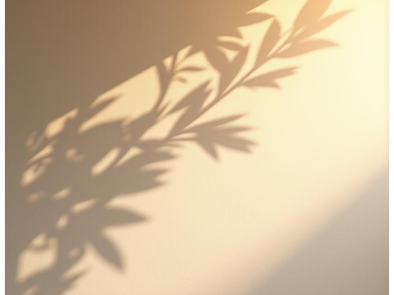 A detailed projection of intricate, organic shadow patterns on a textured wall, demonstrating Tresylvondria's mastery of shadow play.